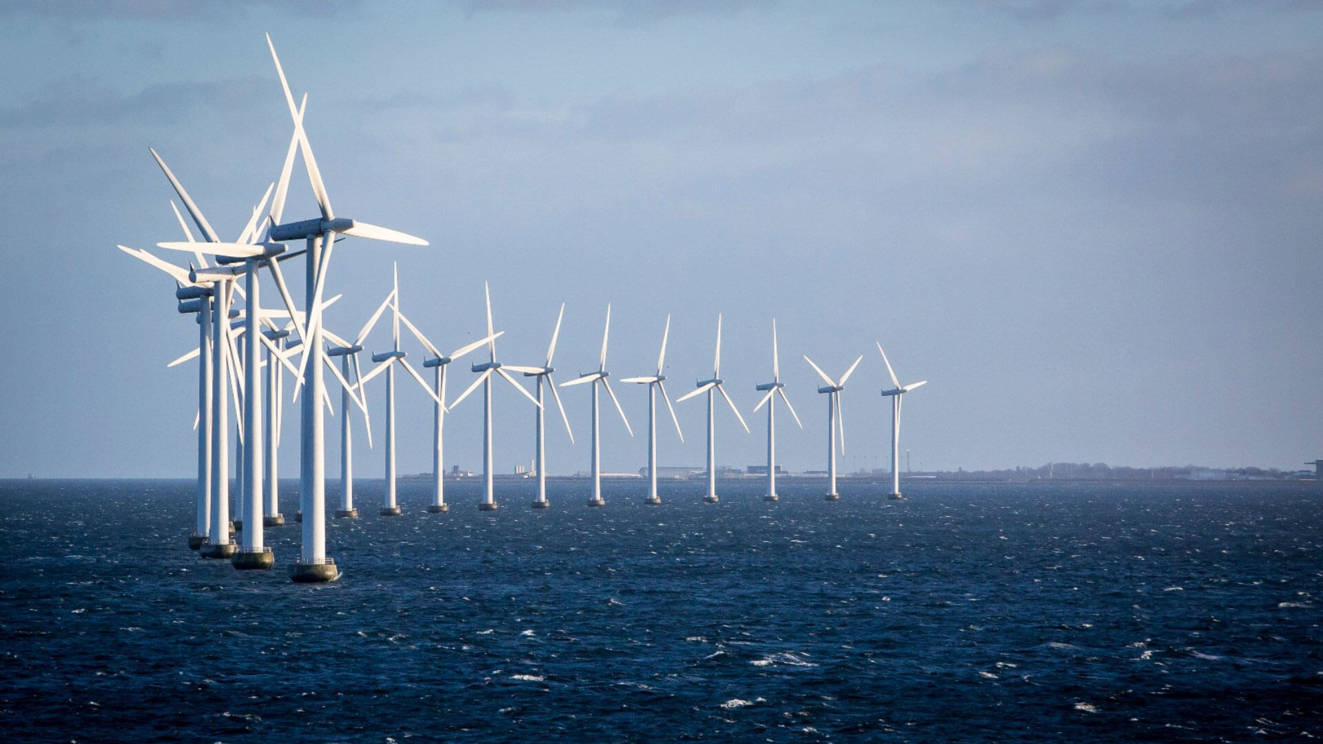 Picture of wind turbines at sea. Denmark recieves more and more sustainable energy from e.g. offshore wind turbines.